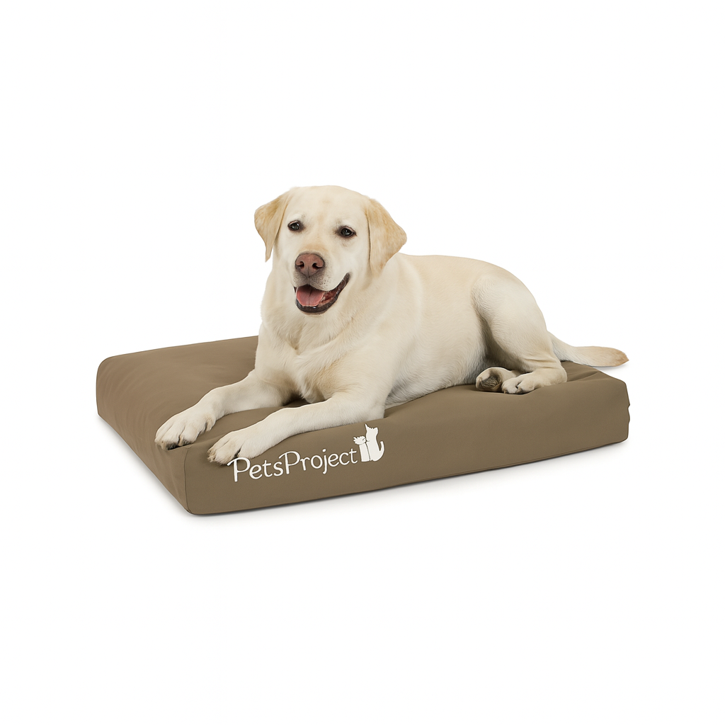 מזרן דוחה מים לכלבים וחתולים