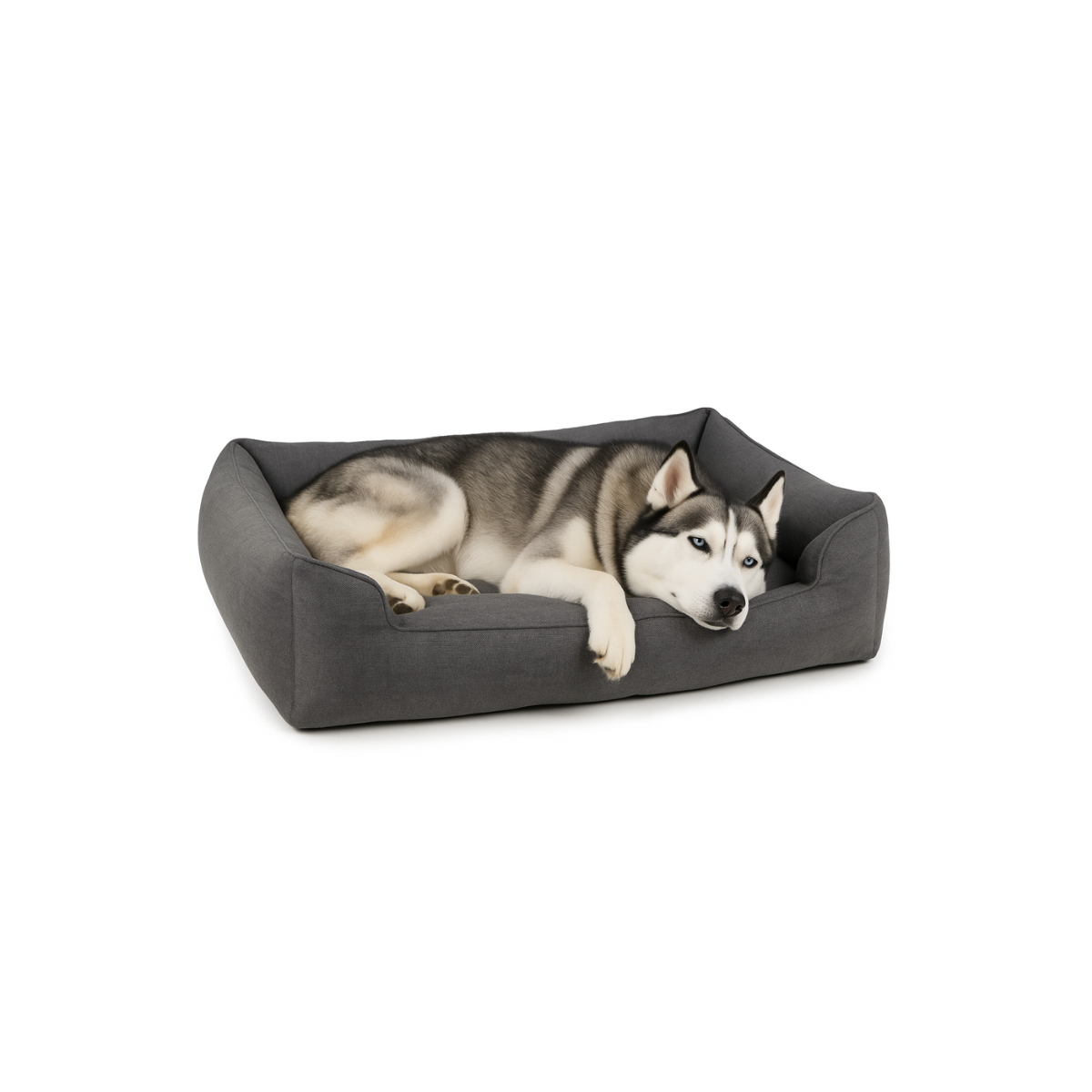 מיטה כותנה לכלבים וחתולים