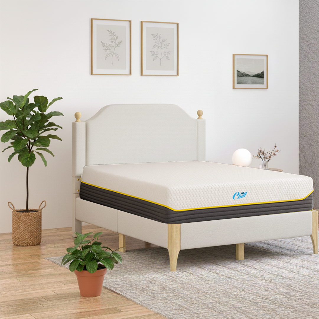 מיטת צ'יל לוקס