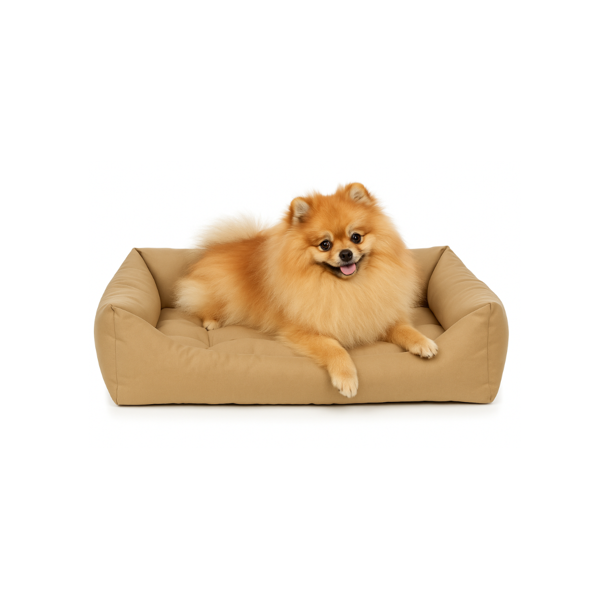 מיטה כותנה לכלבים וחתולים