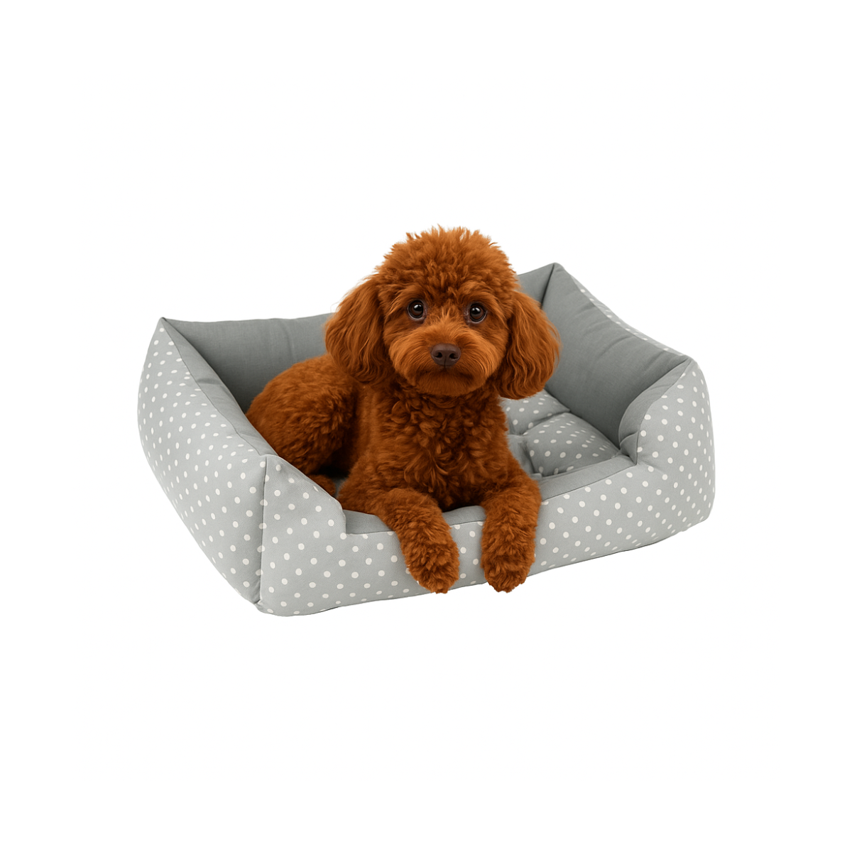 מיטה כותנה לכלבים וחתולים