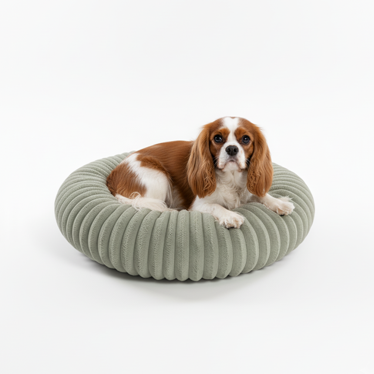 מיטה SERENITY לכלבים וחתולים