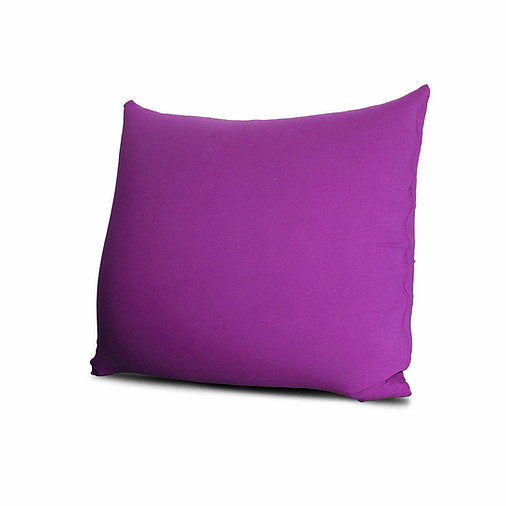 color-#9400D3